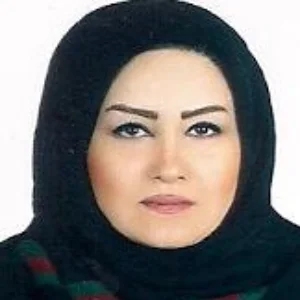 شهرو حاجی عبدالحمیدی