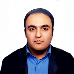 محمد مهدی همتی